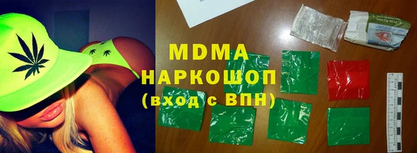 индика Щигры