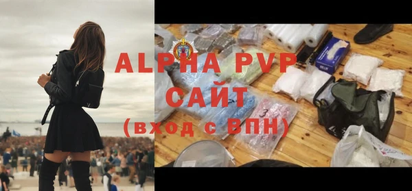 PSILOCYBIN Кемь