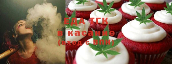 индика Щигры