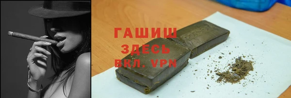индика Щигры
