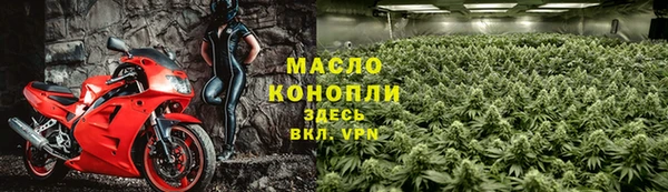 индика Щигры