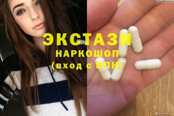 индика Щигры