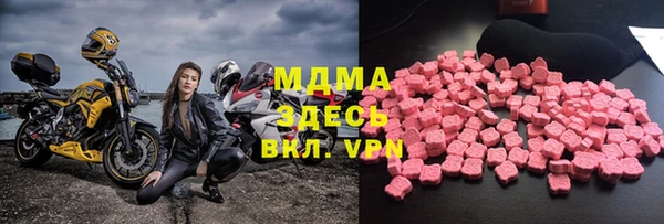 индика Щигры