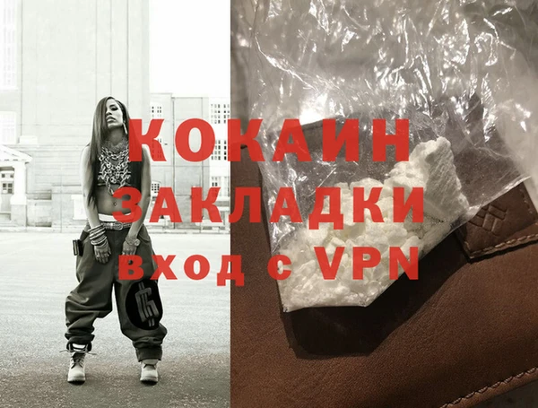 индика Щигры