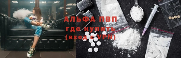 PSILOCYBIN Кемь
