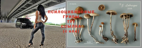 хмурый Яровое