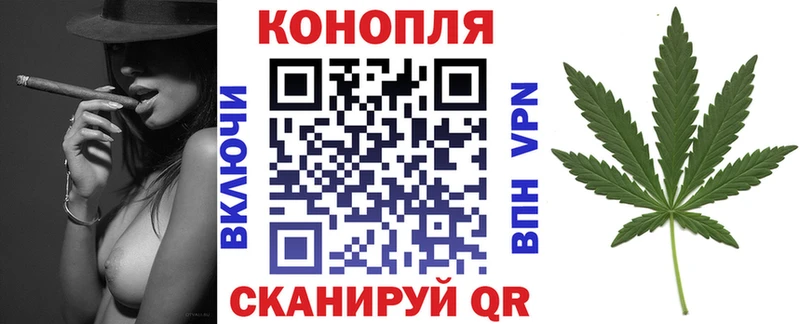 как найти   Белёв  Канабис OG Kush 